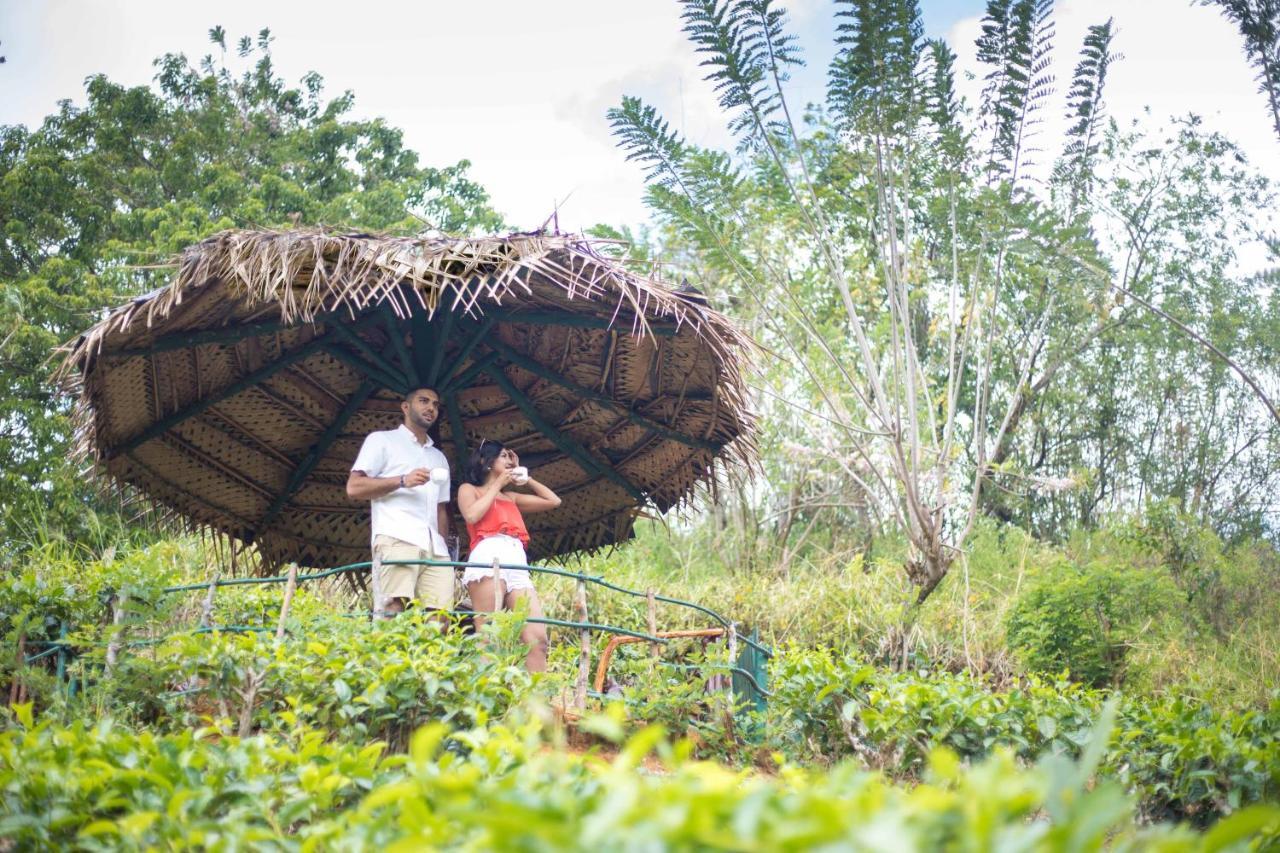 Mount Havana Kandy Ngoại thất bức ảnh